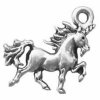 3D Mini Unicorn Charm With Flowing Mane